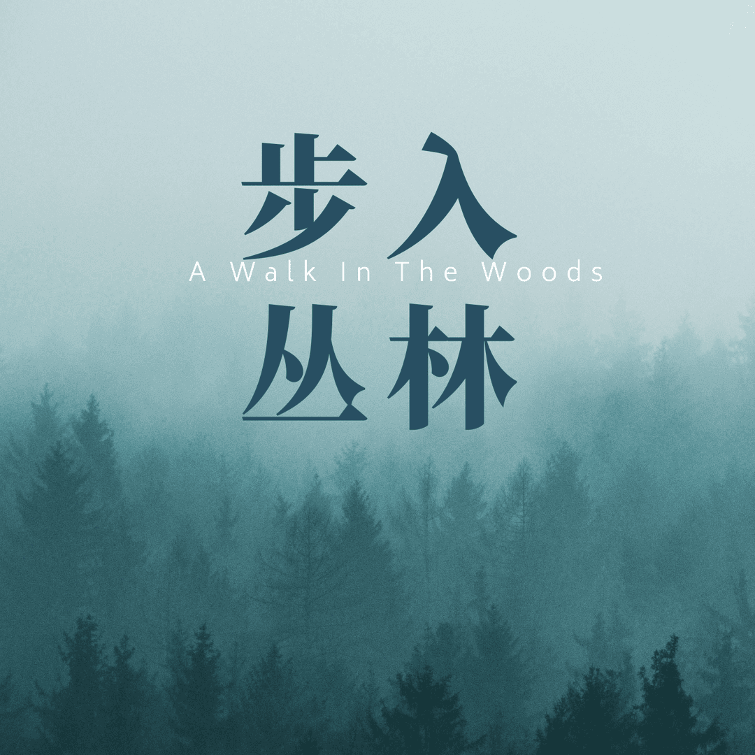 步入丛林
