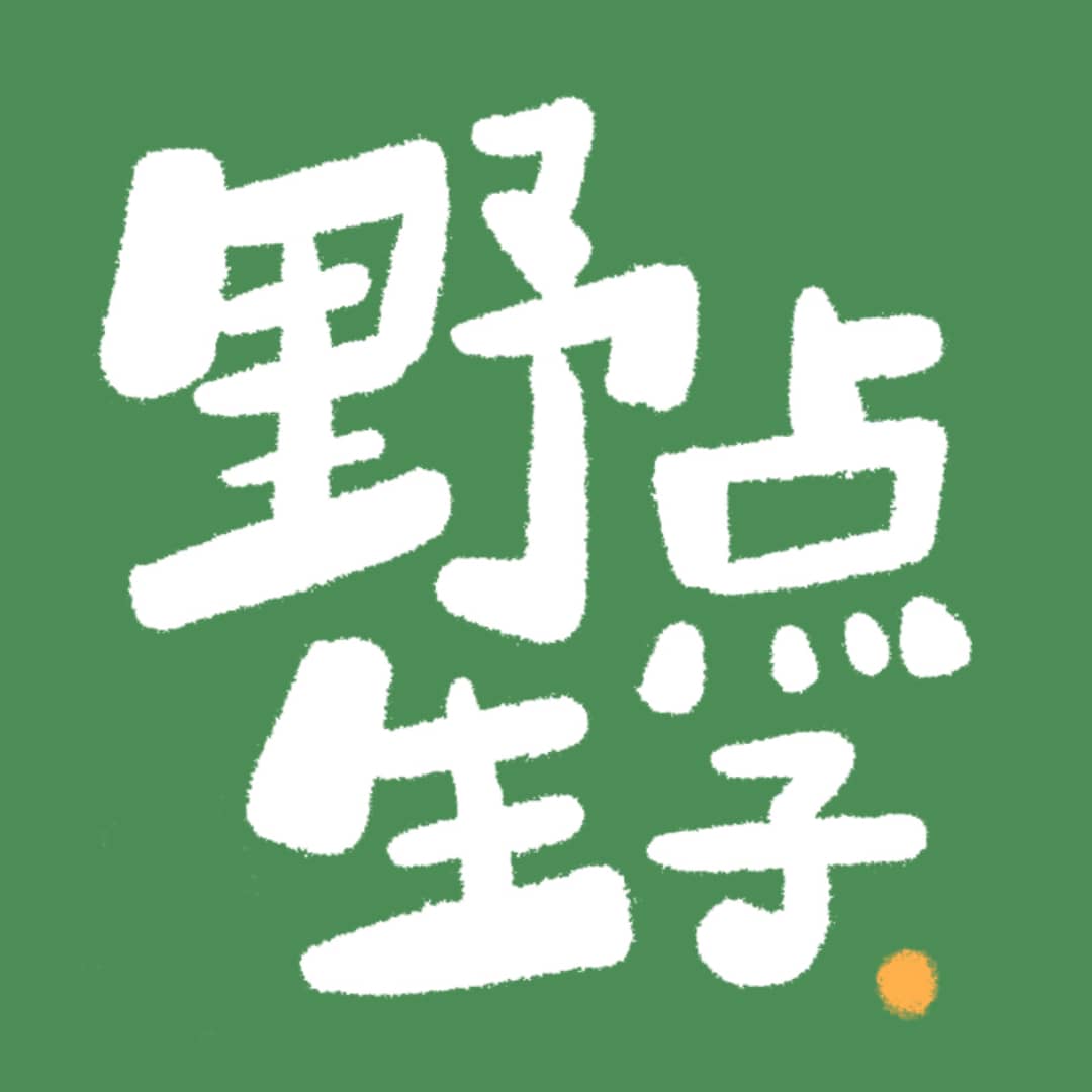 野生点子