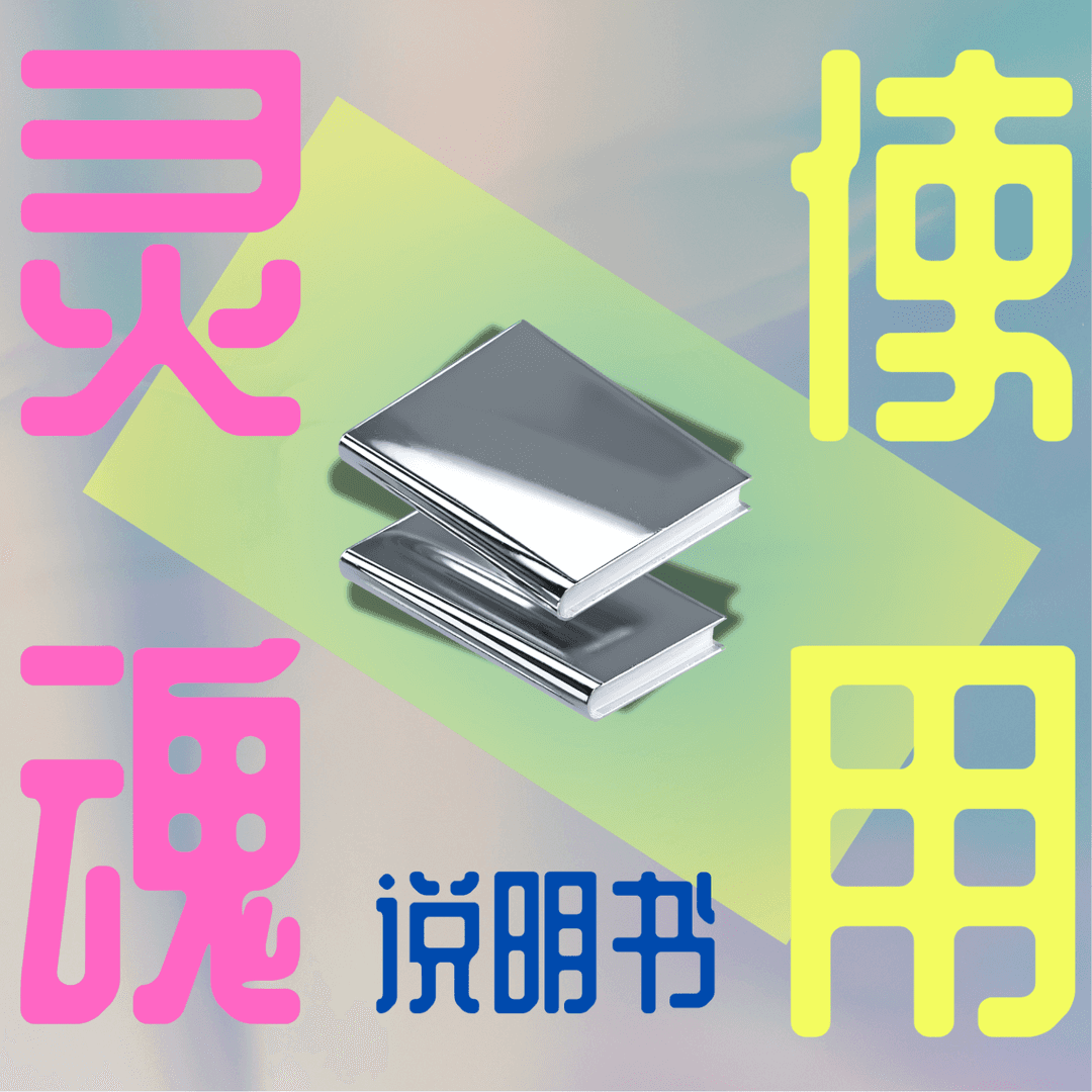 灵魂使用说明书