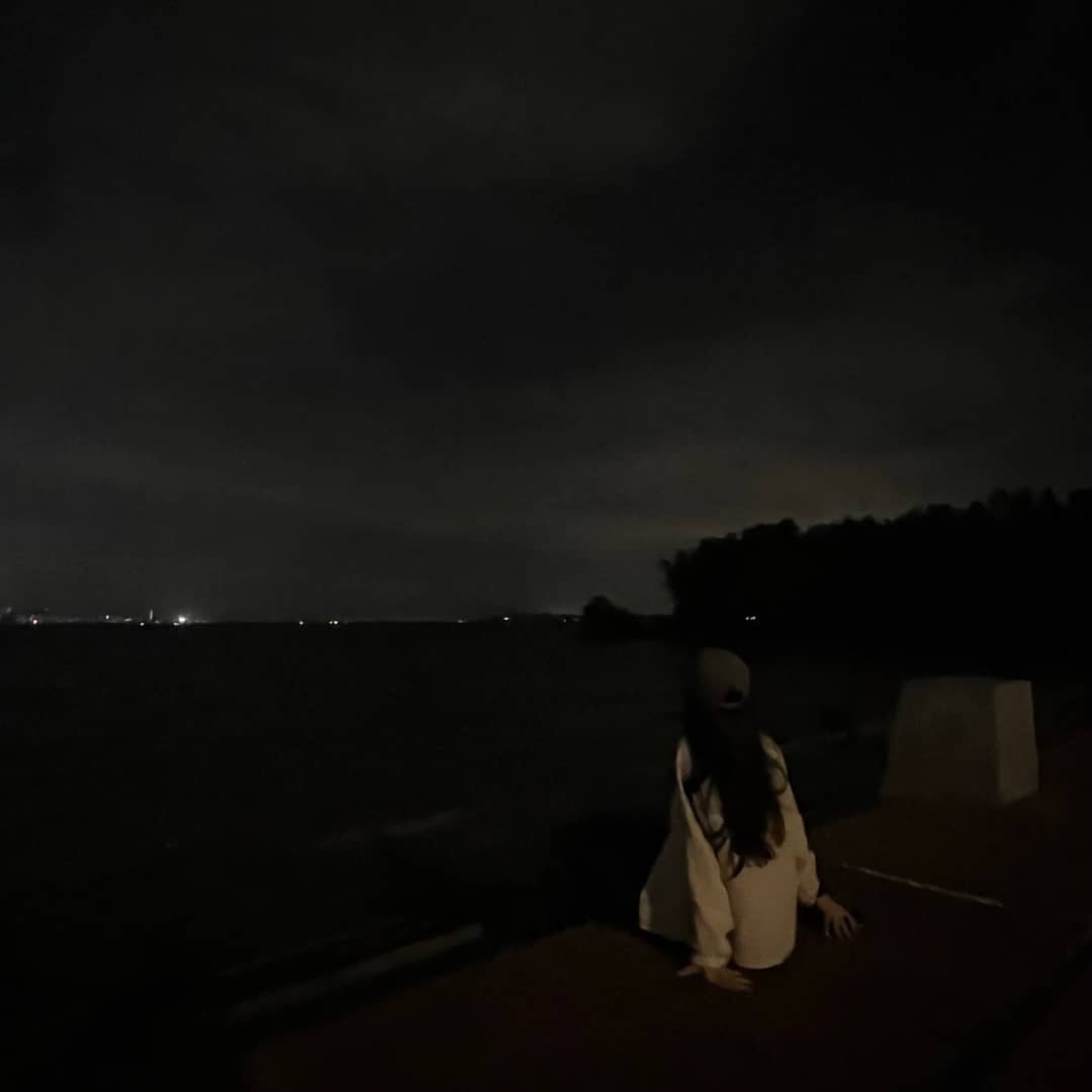 菠萝的水域