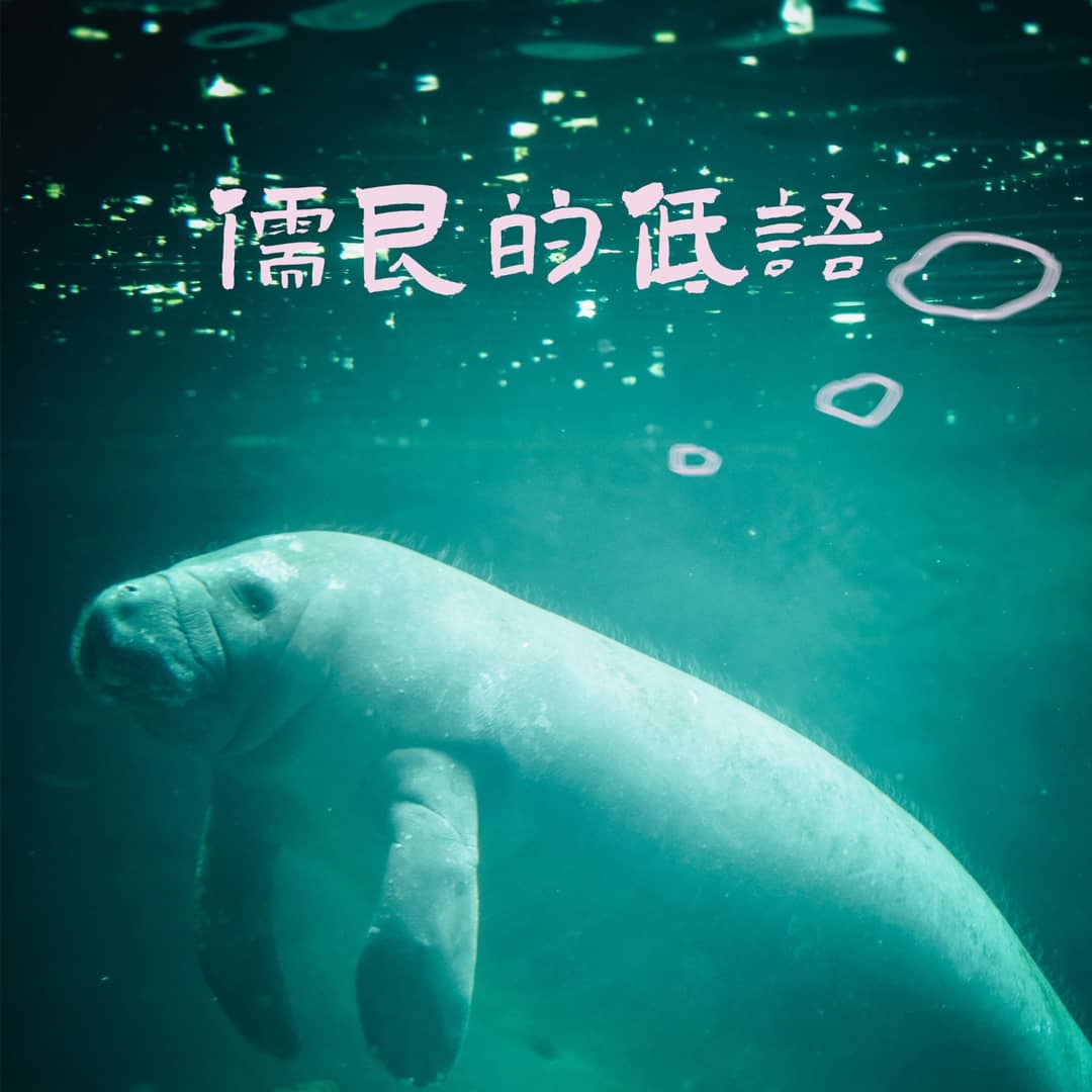 儒艮的低语