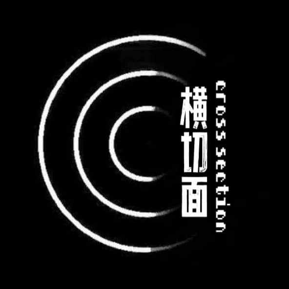 横切面