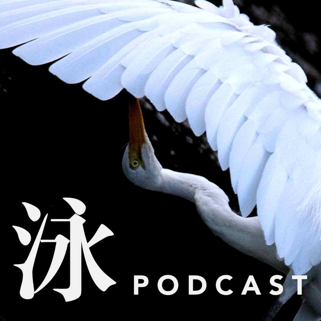 自由泳