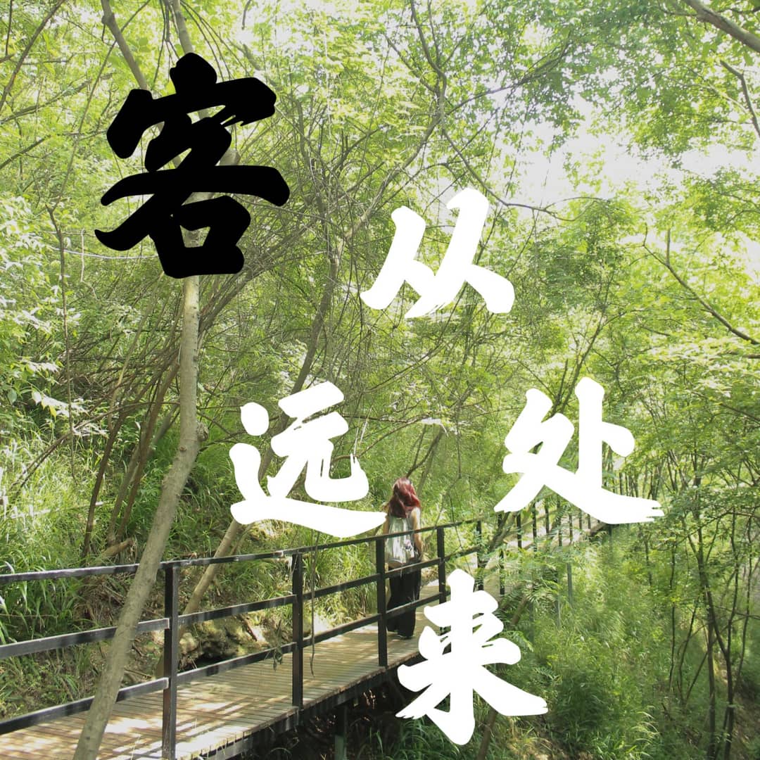 客从远处来