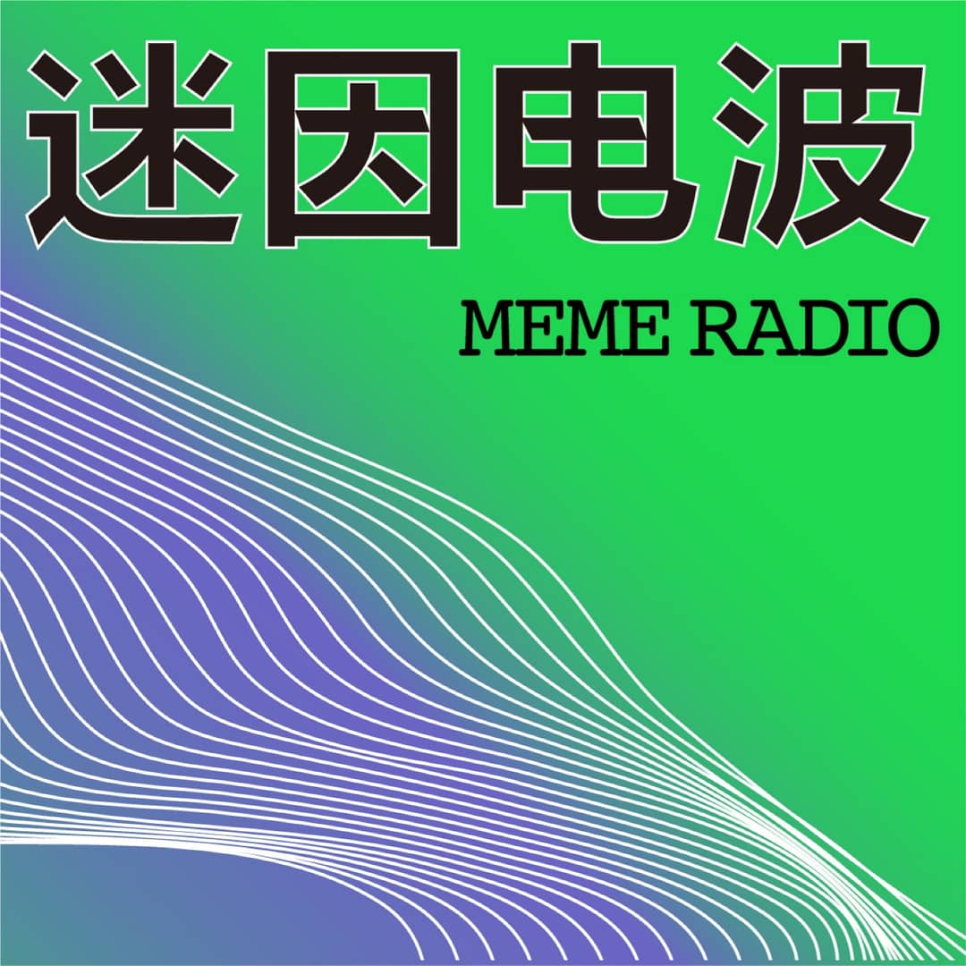 迷因电波