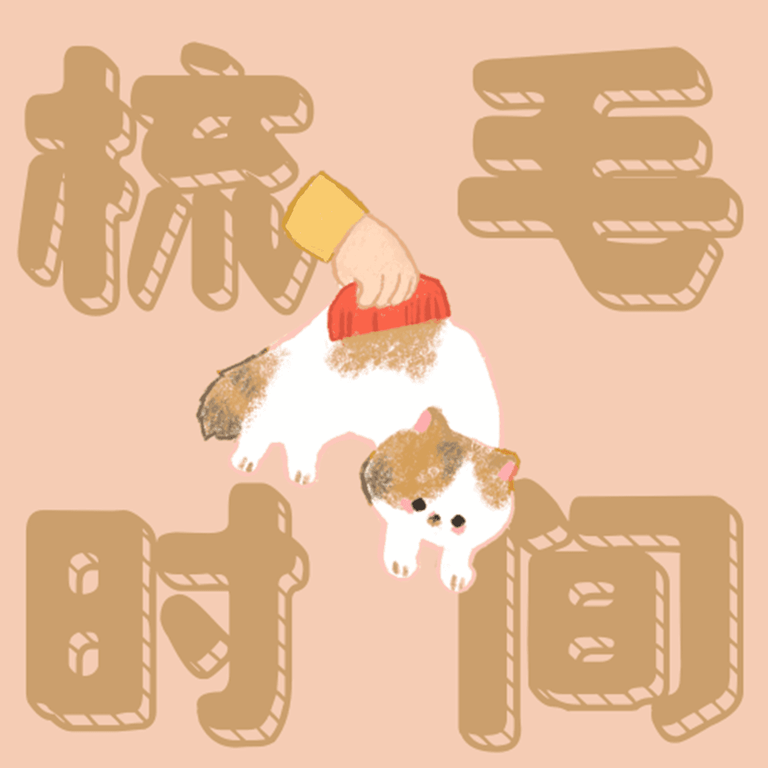 梳毛时间