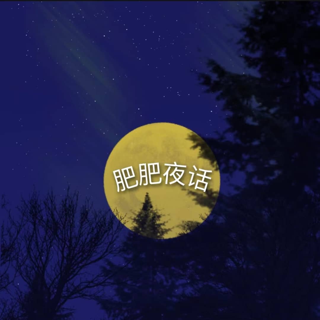 肥肥夜话