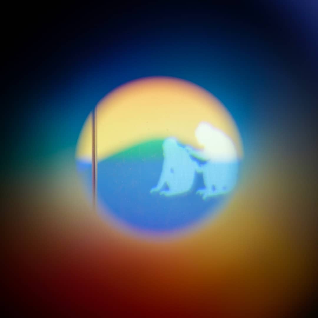 番石榴在燃烧