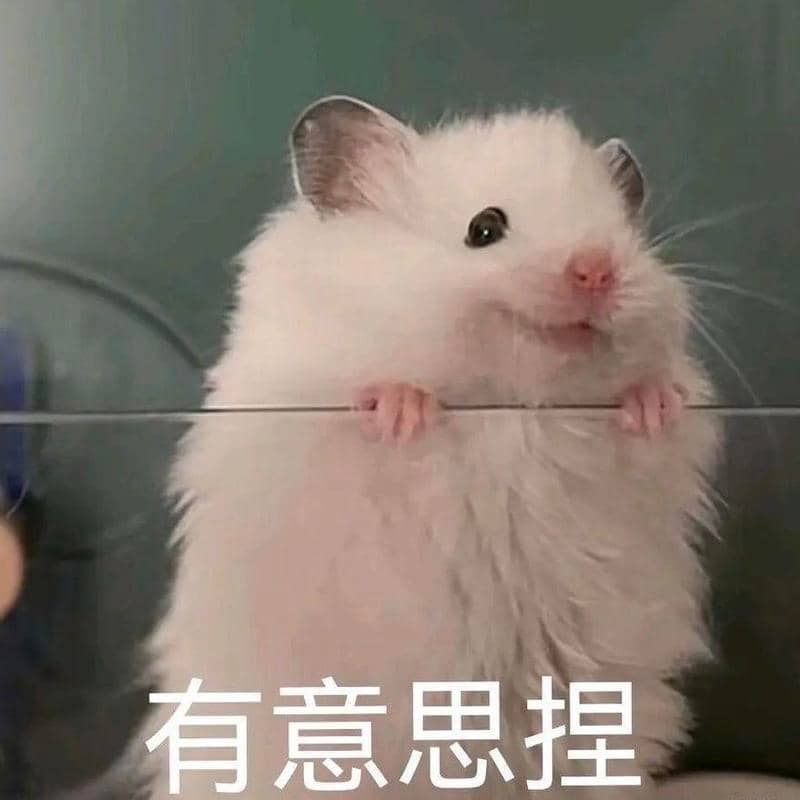 非典型清华女生聊天室