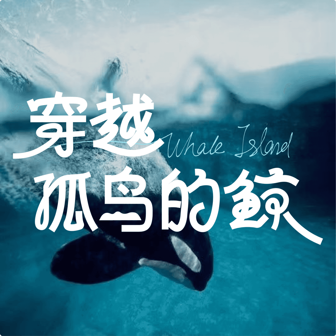 穿越孤岛的鲸