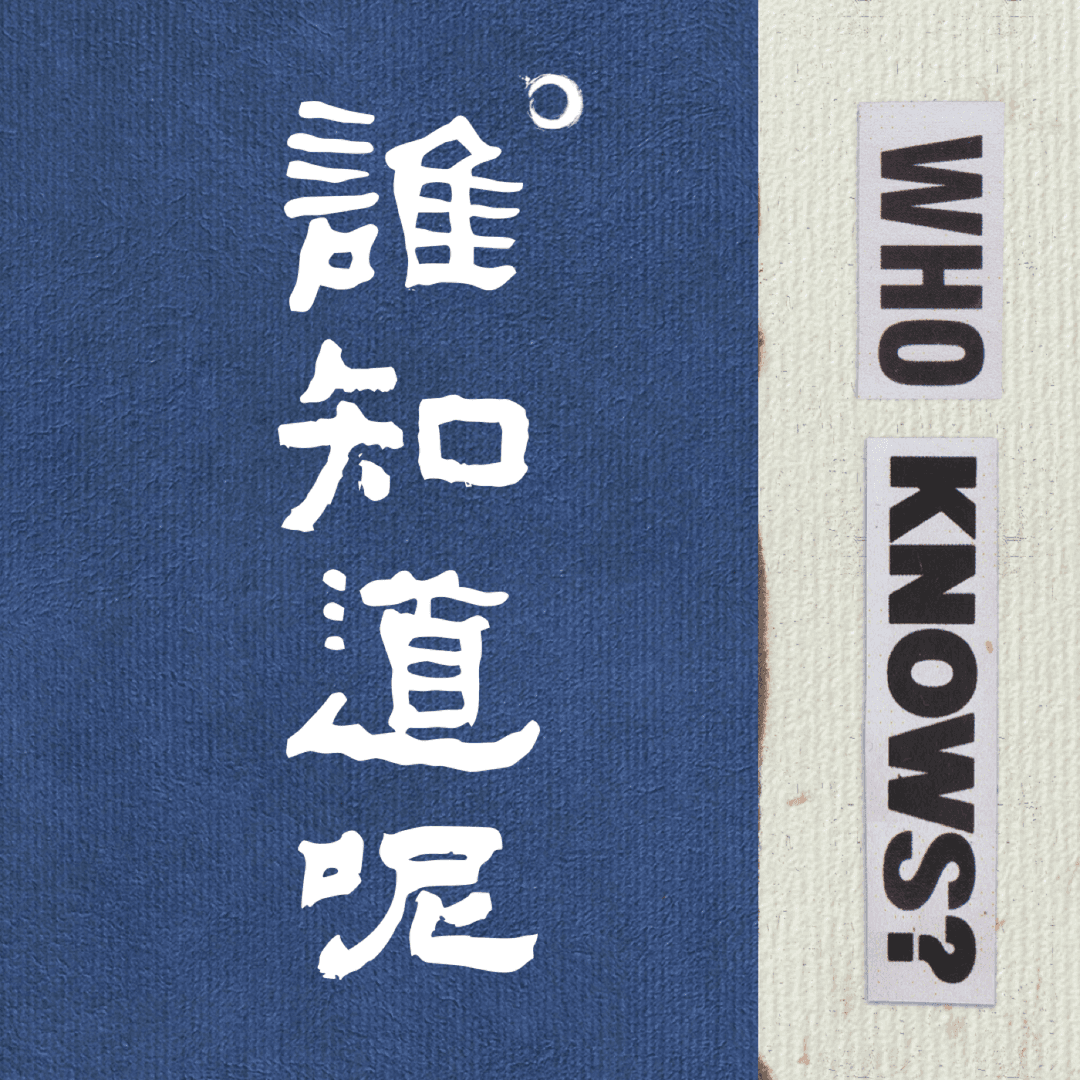 谁知道呢|WhoKnows