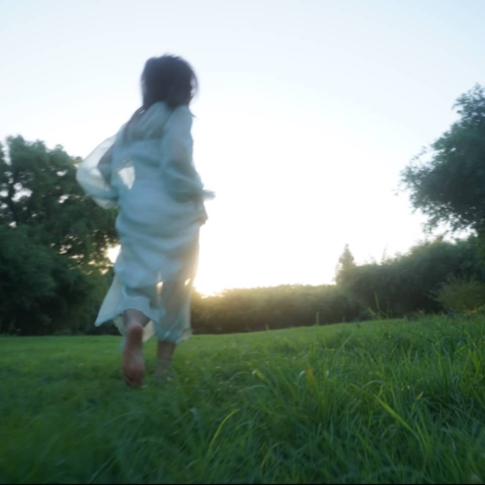 小鱼慢游