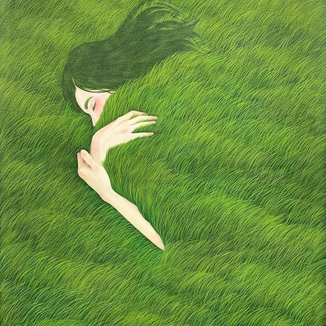 星星种的树