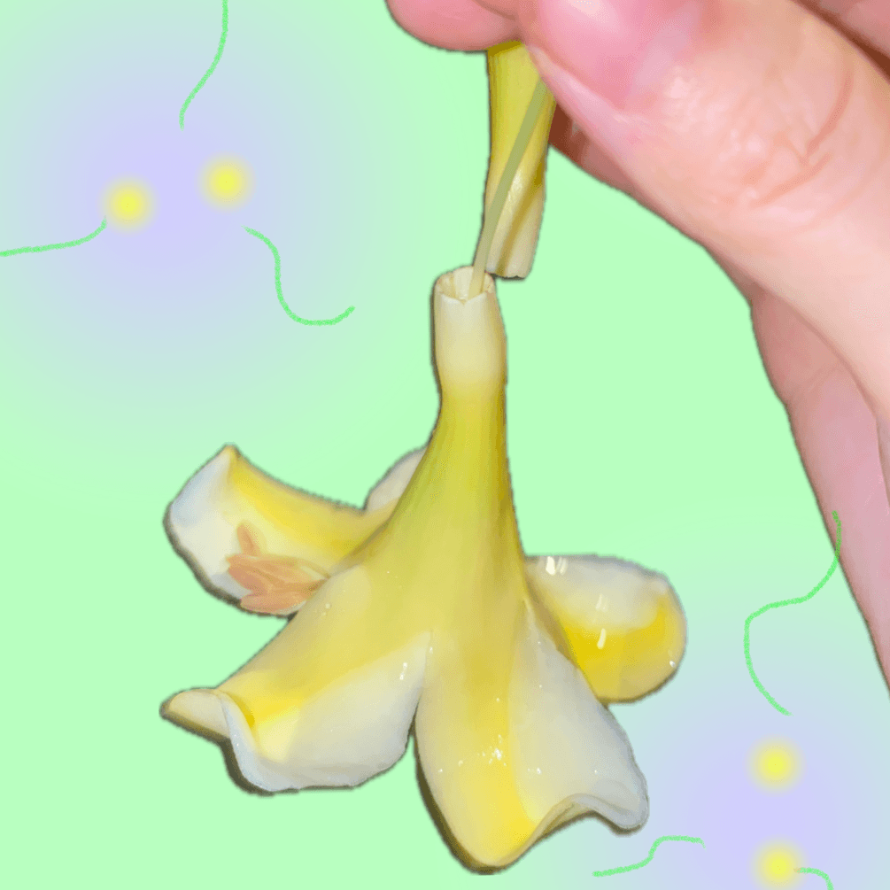 香香矿果