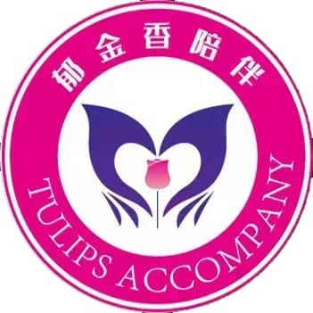 郁金香陪伴•「终极浪漫」