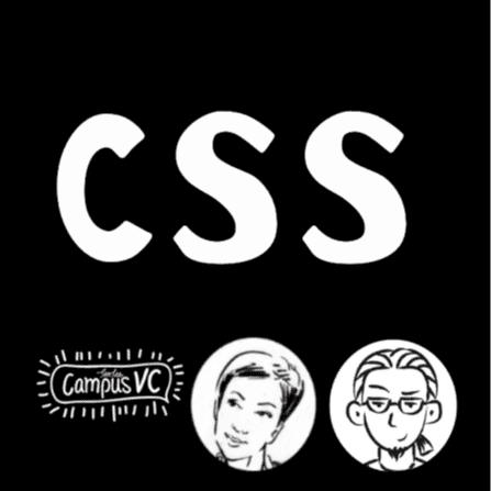 CSS｜校园VC的Web3创客频道