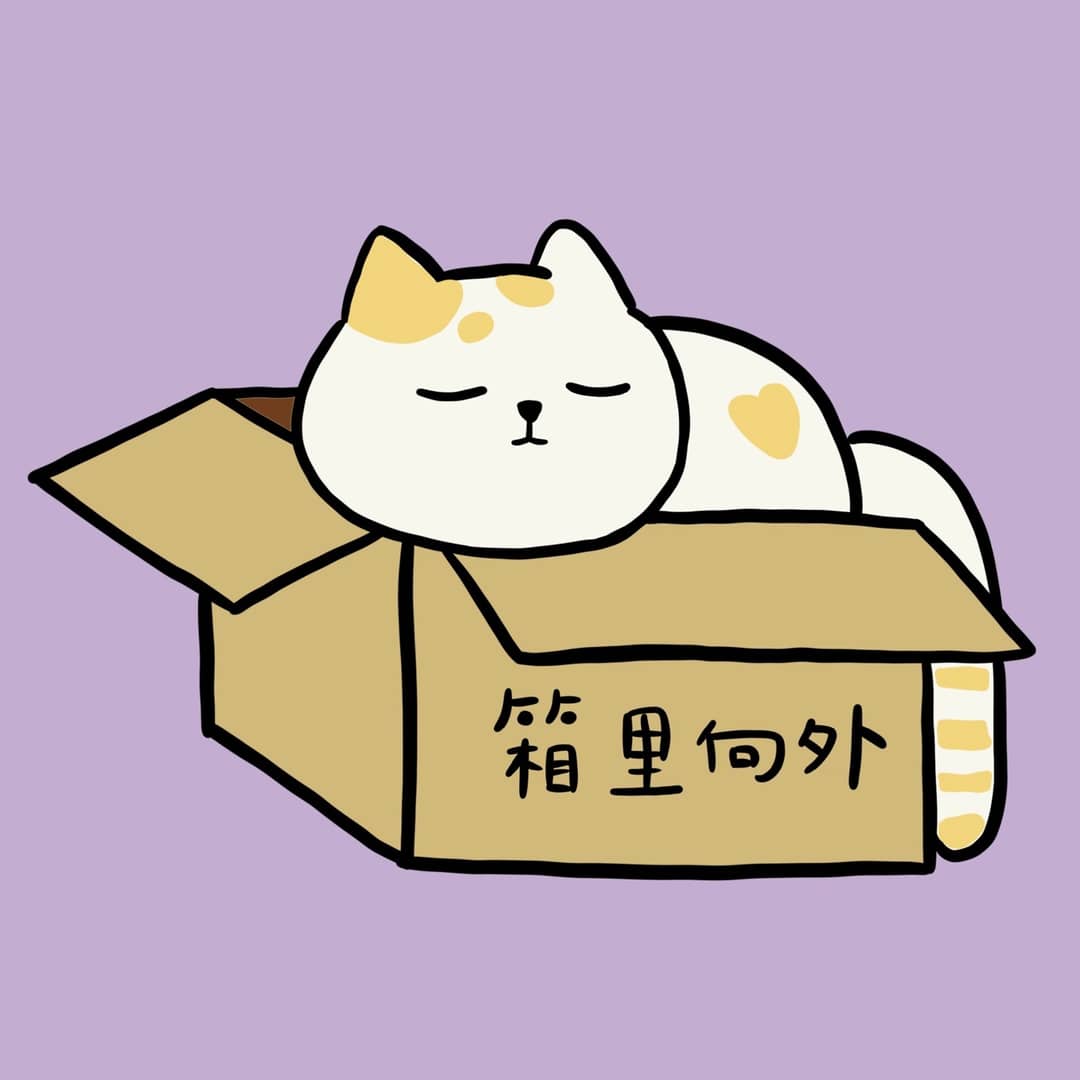 箱里向外