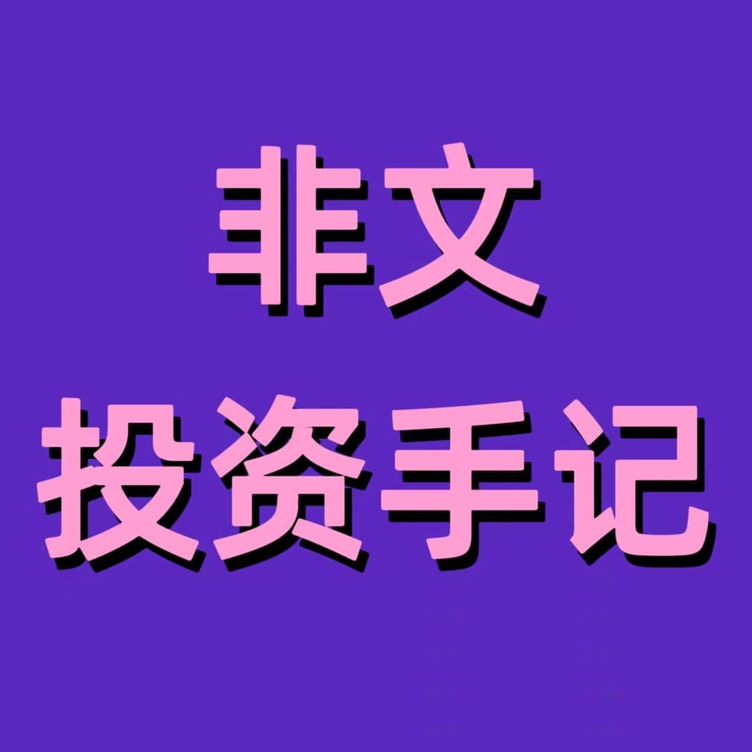 非文投资手记