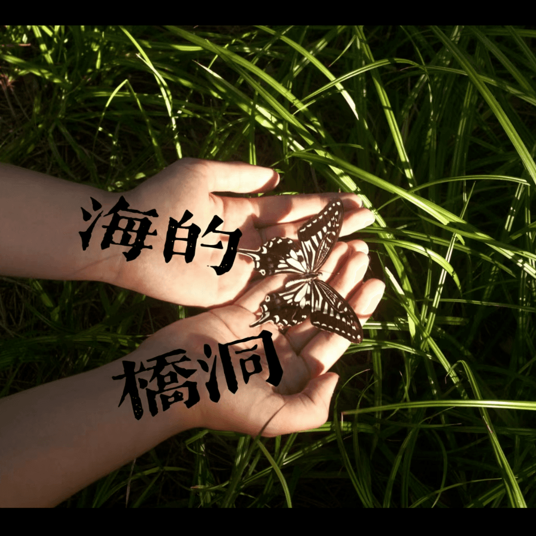 海的桥洞