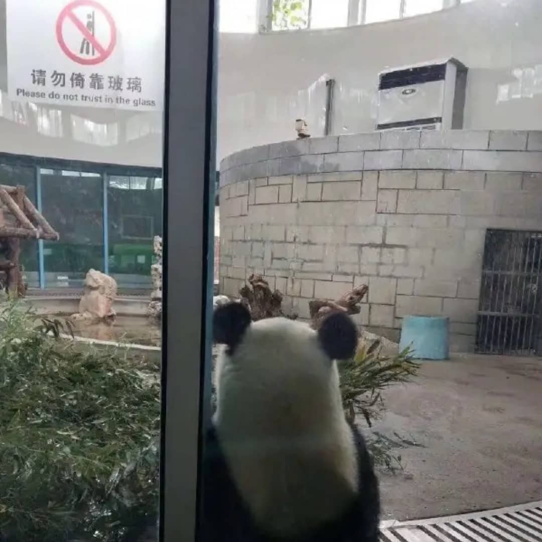 下课去哪玩
