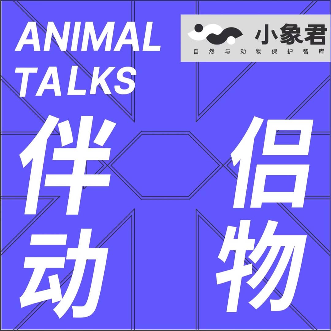 伴侣动物AnimalTalks