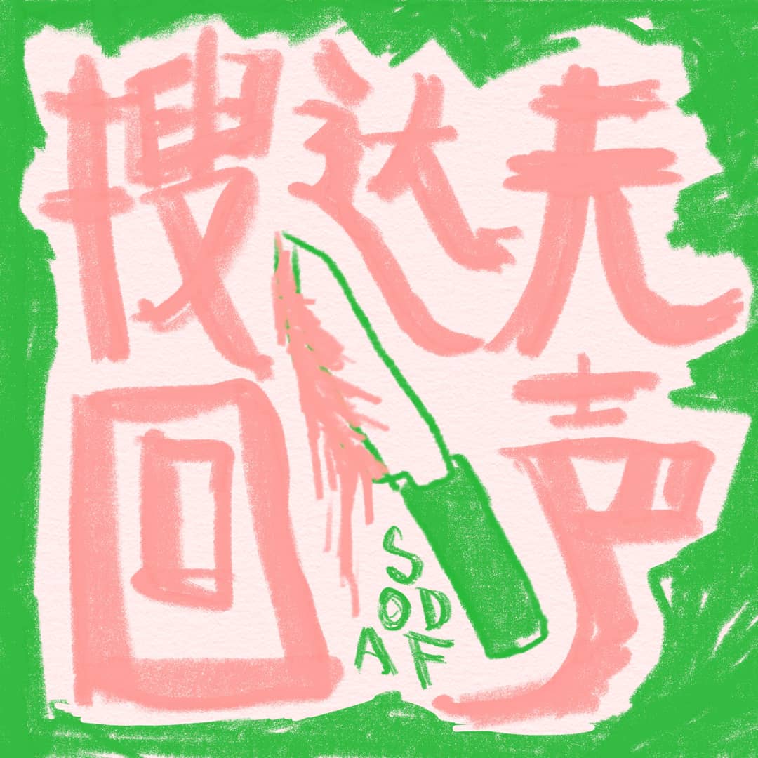 搜达夫回声