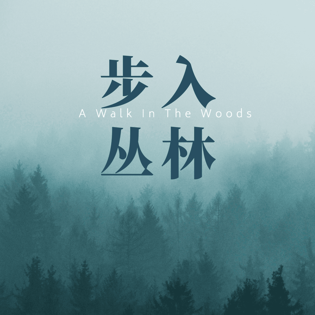 步入丛林