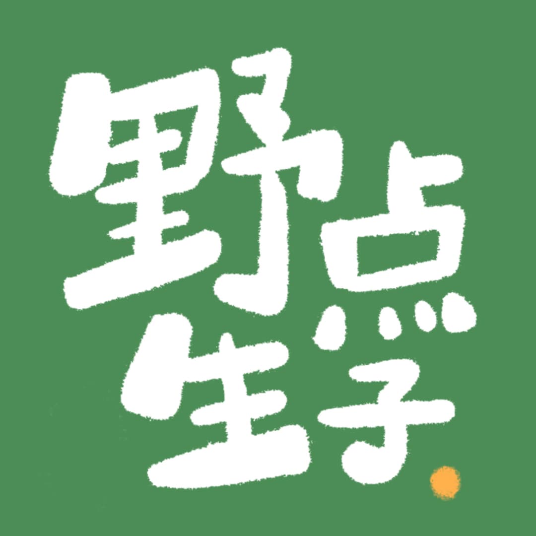 野生点子