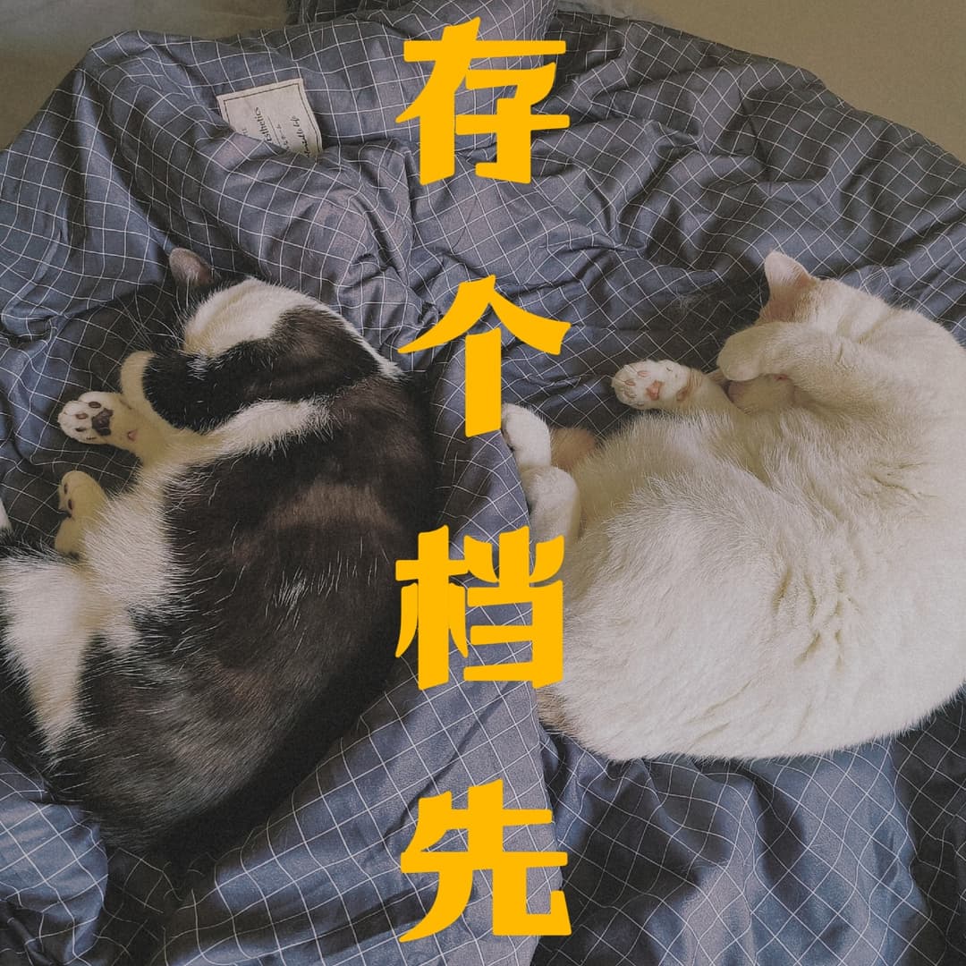 存个档先