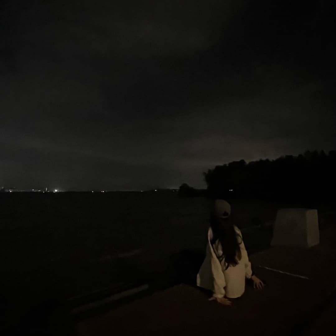 菠萝的水域