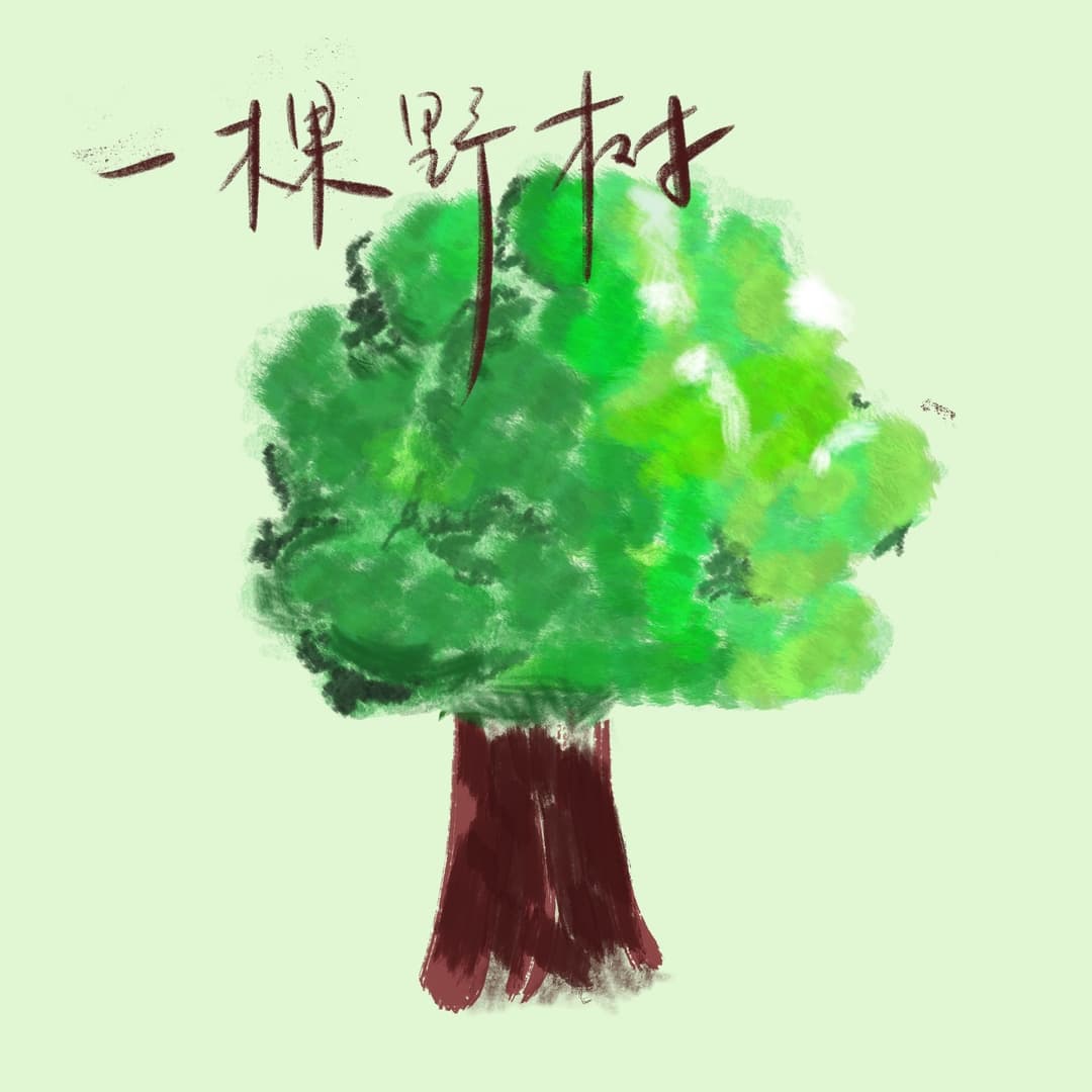 一棵野树