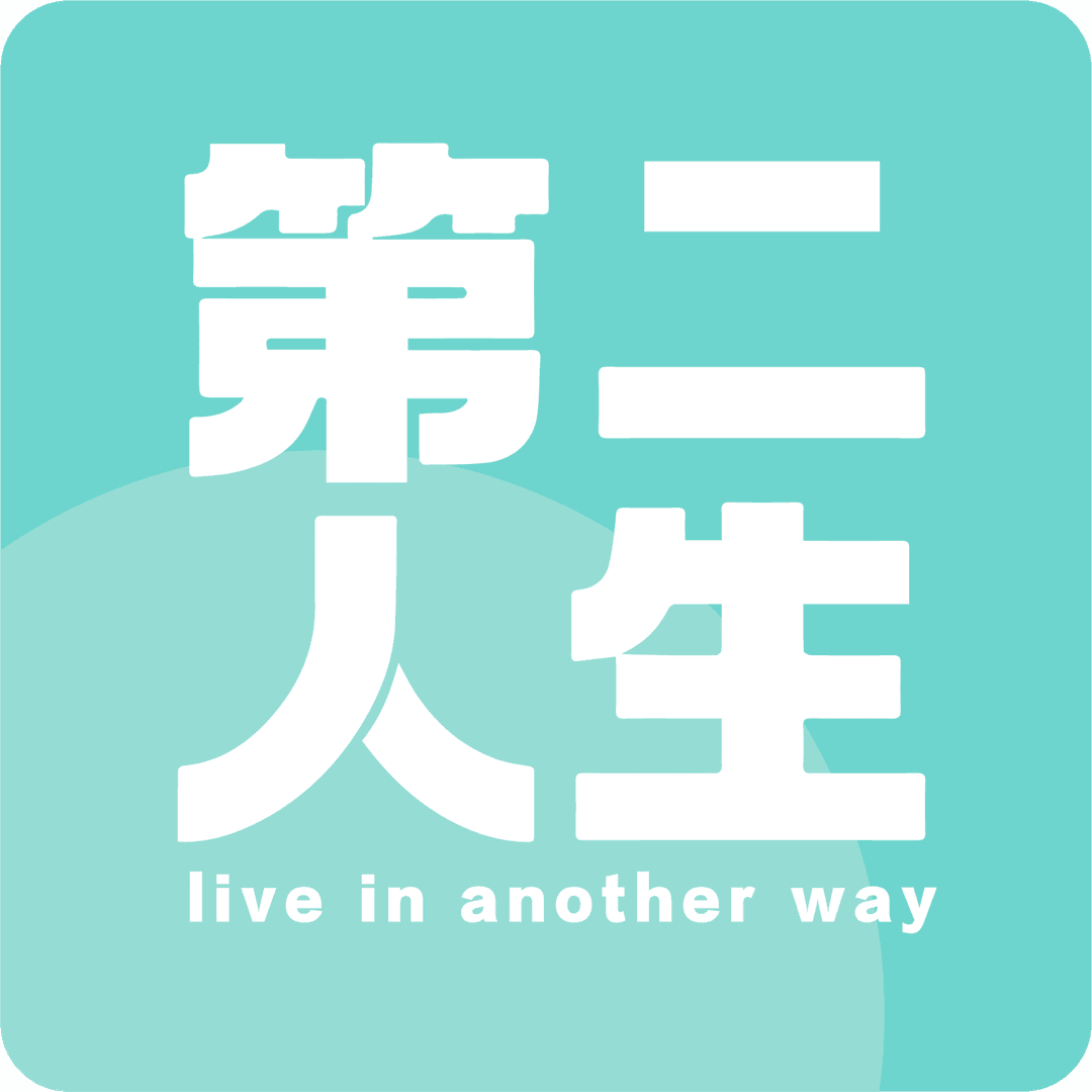 第二人生是本书
