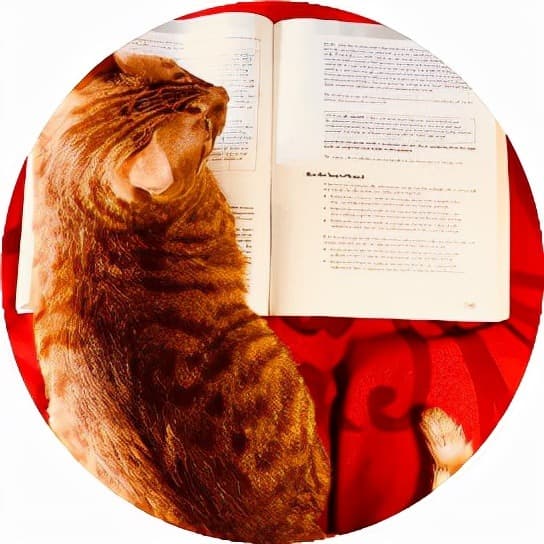 英语考试Cat | 雅思口语写作加油站