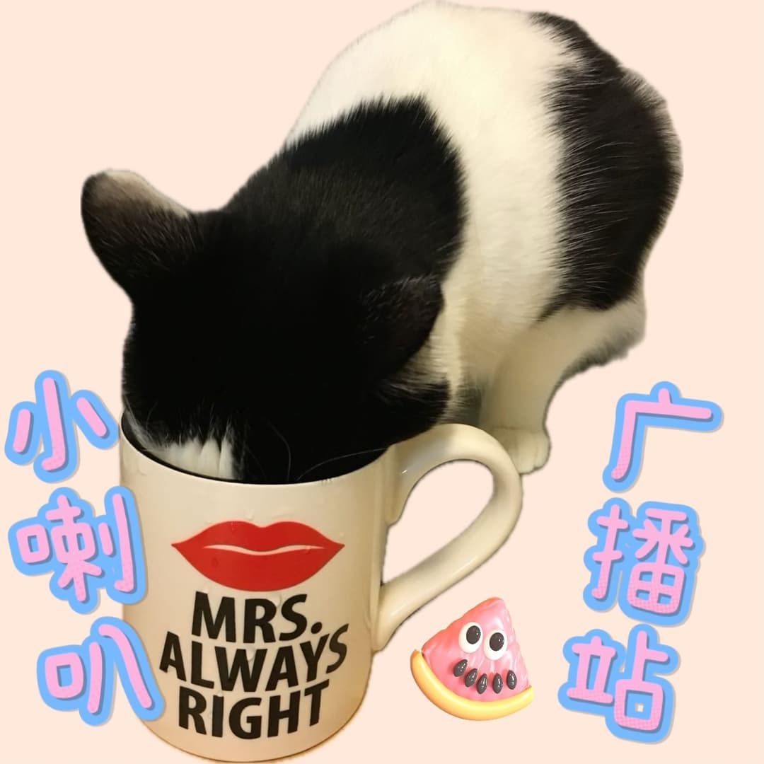 小喇叭广播站