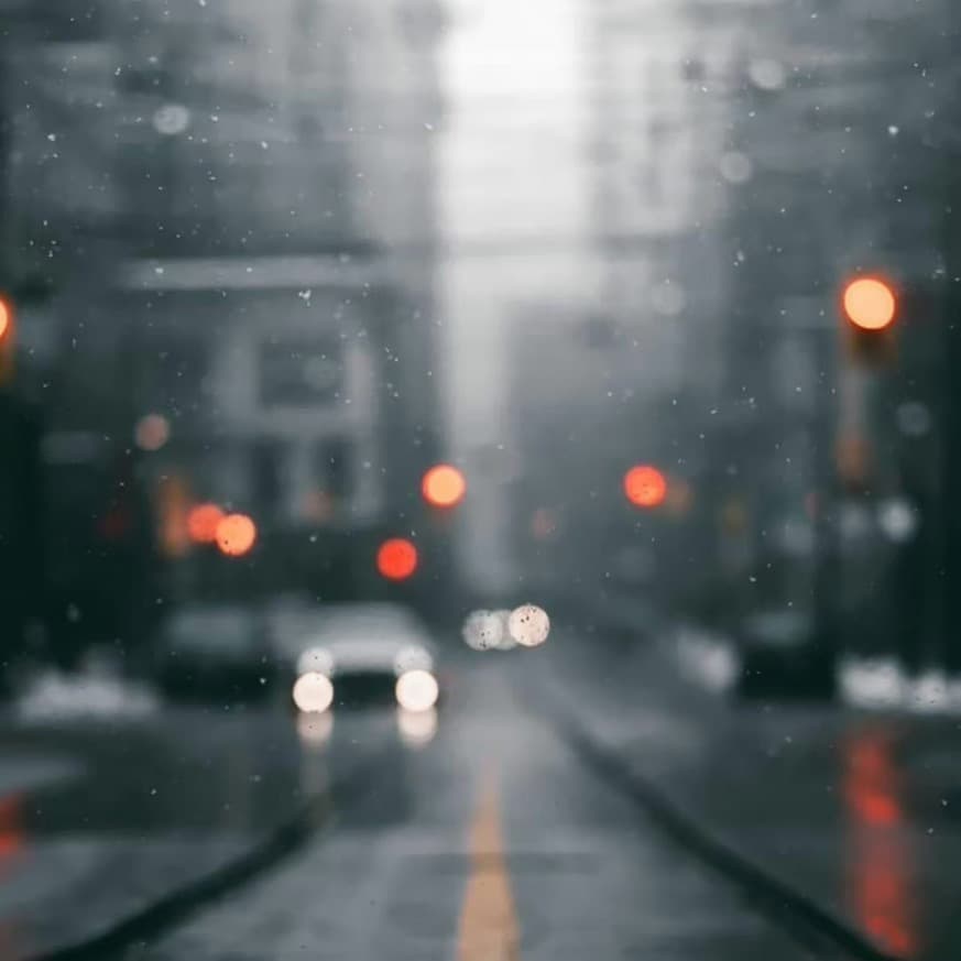 夜来读书声