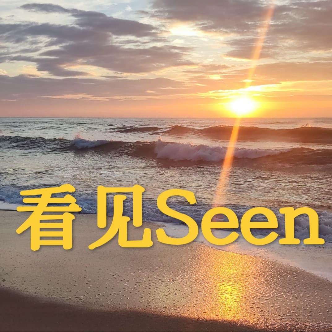 看见Seen