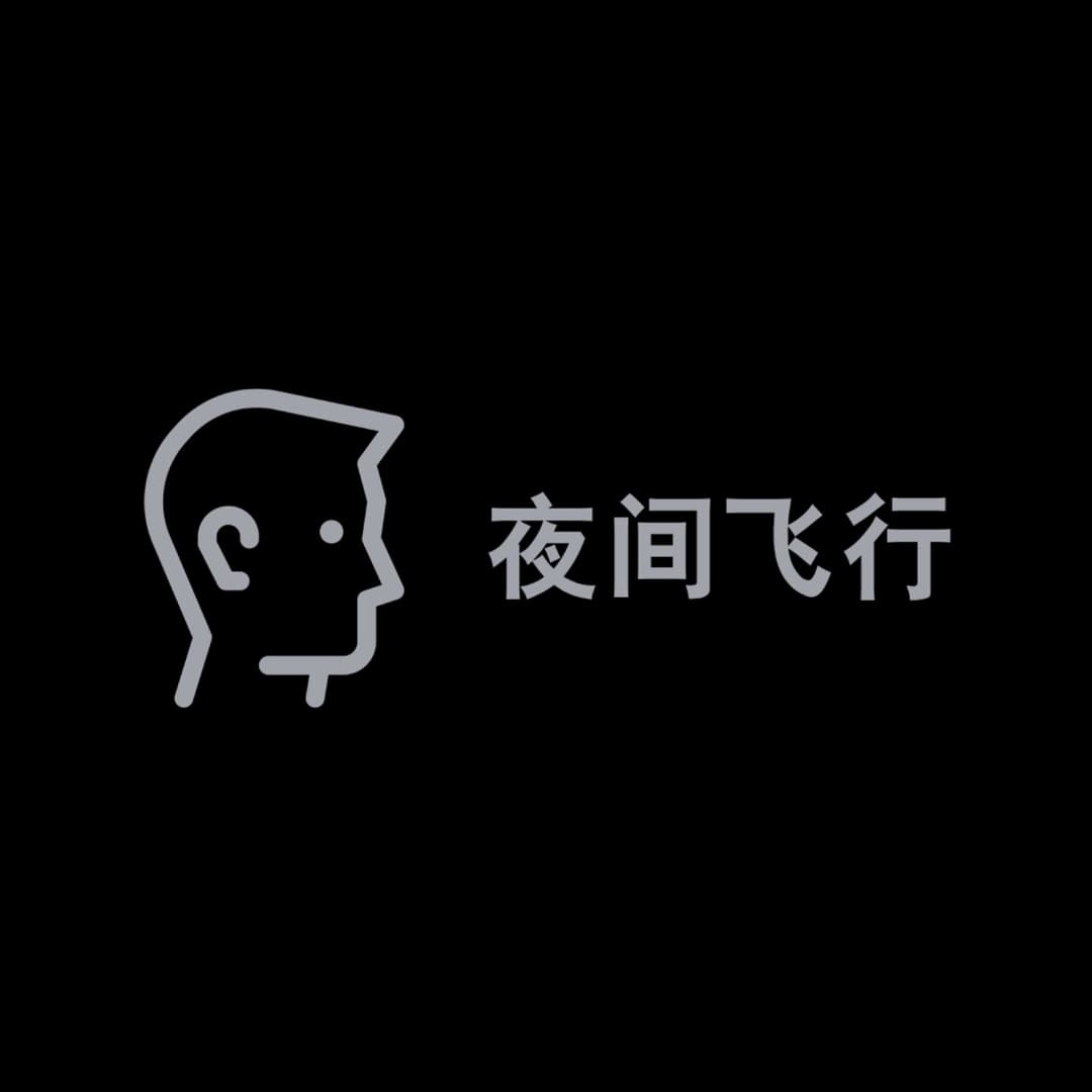 夜間飛行