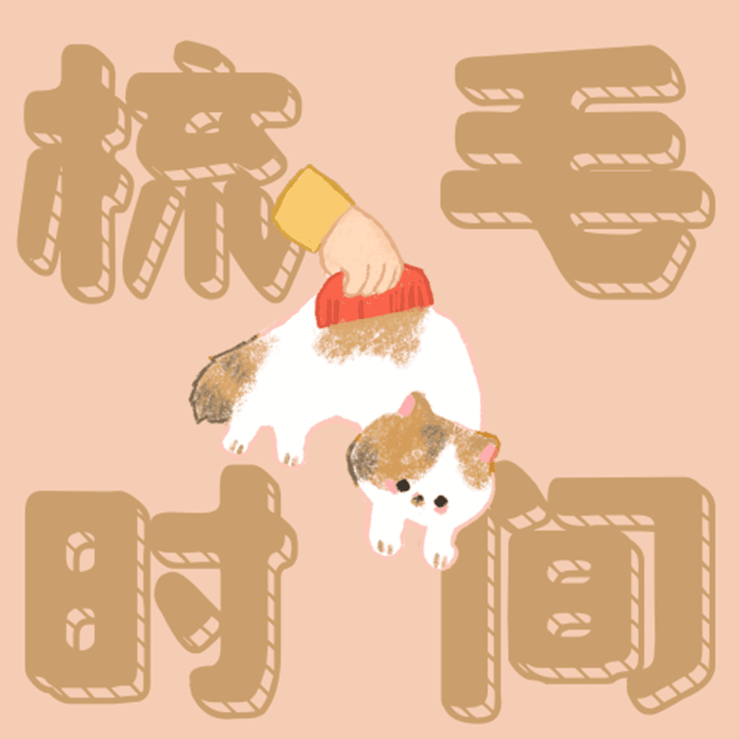 梳毛时间