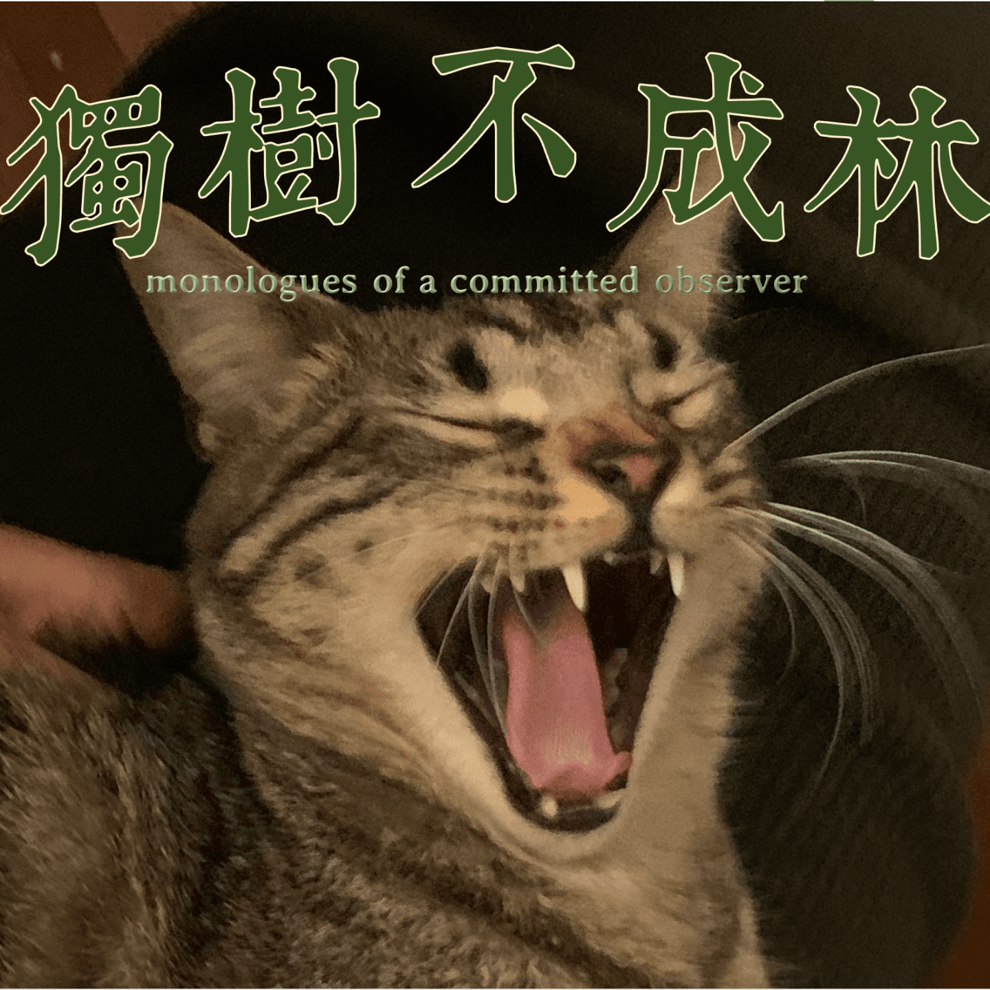独树不成林
