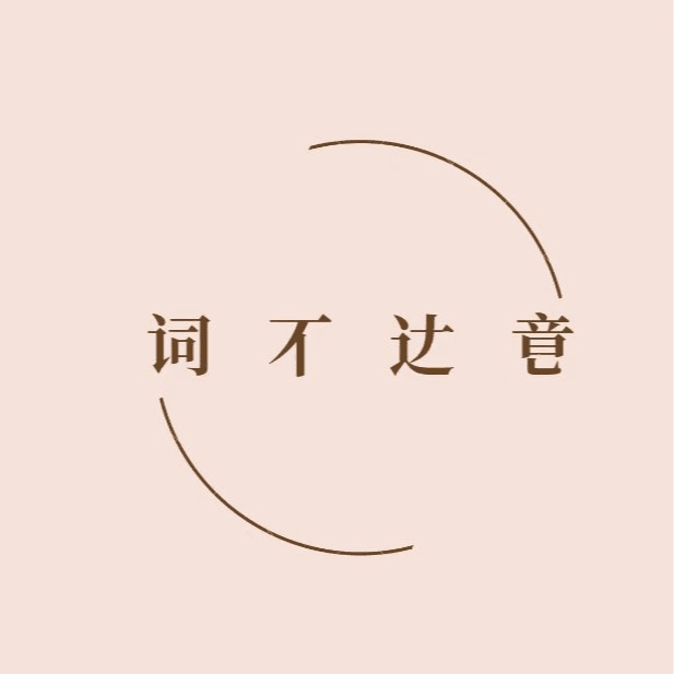 词不达意