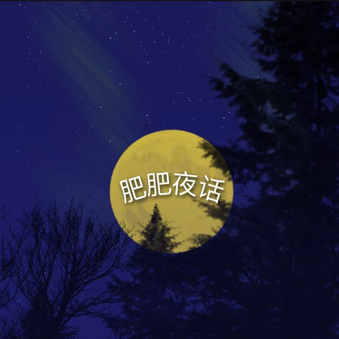 肥肥夜话