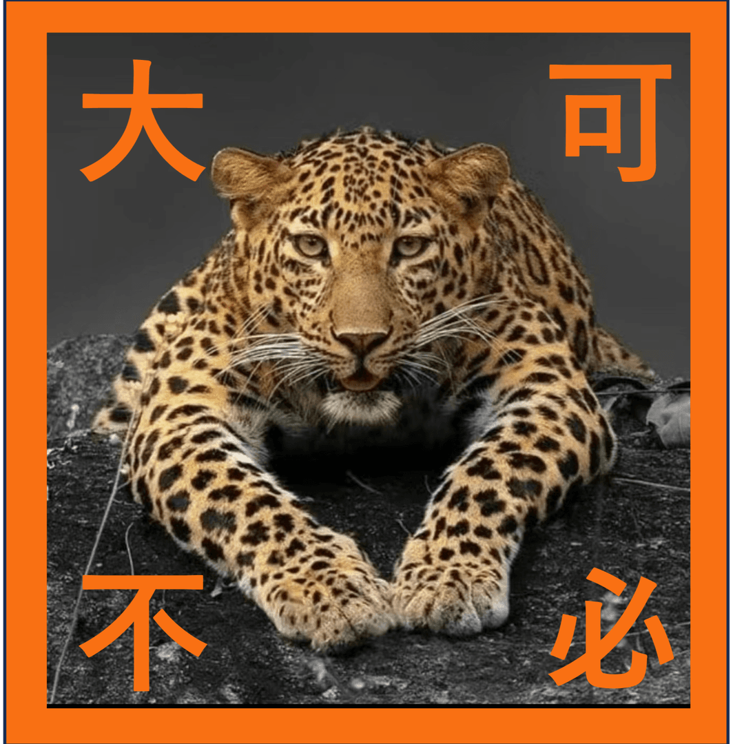 人生大可不必︱LifeNoNeed