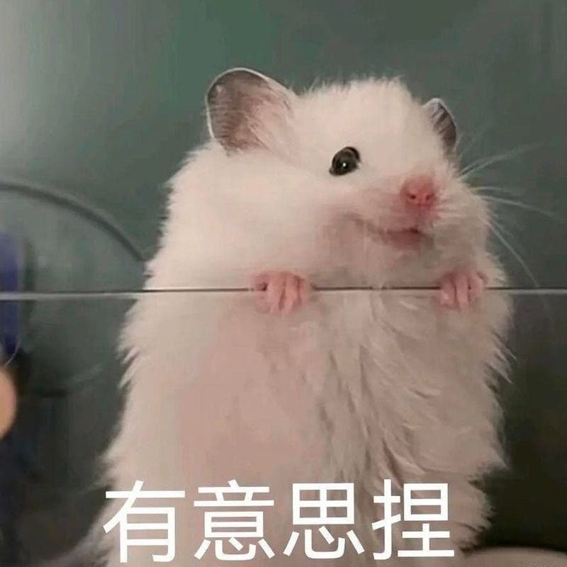 非典型清华女生聊天室