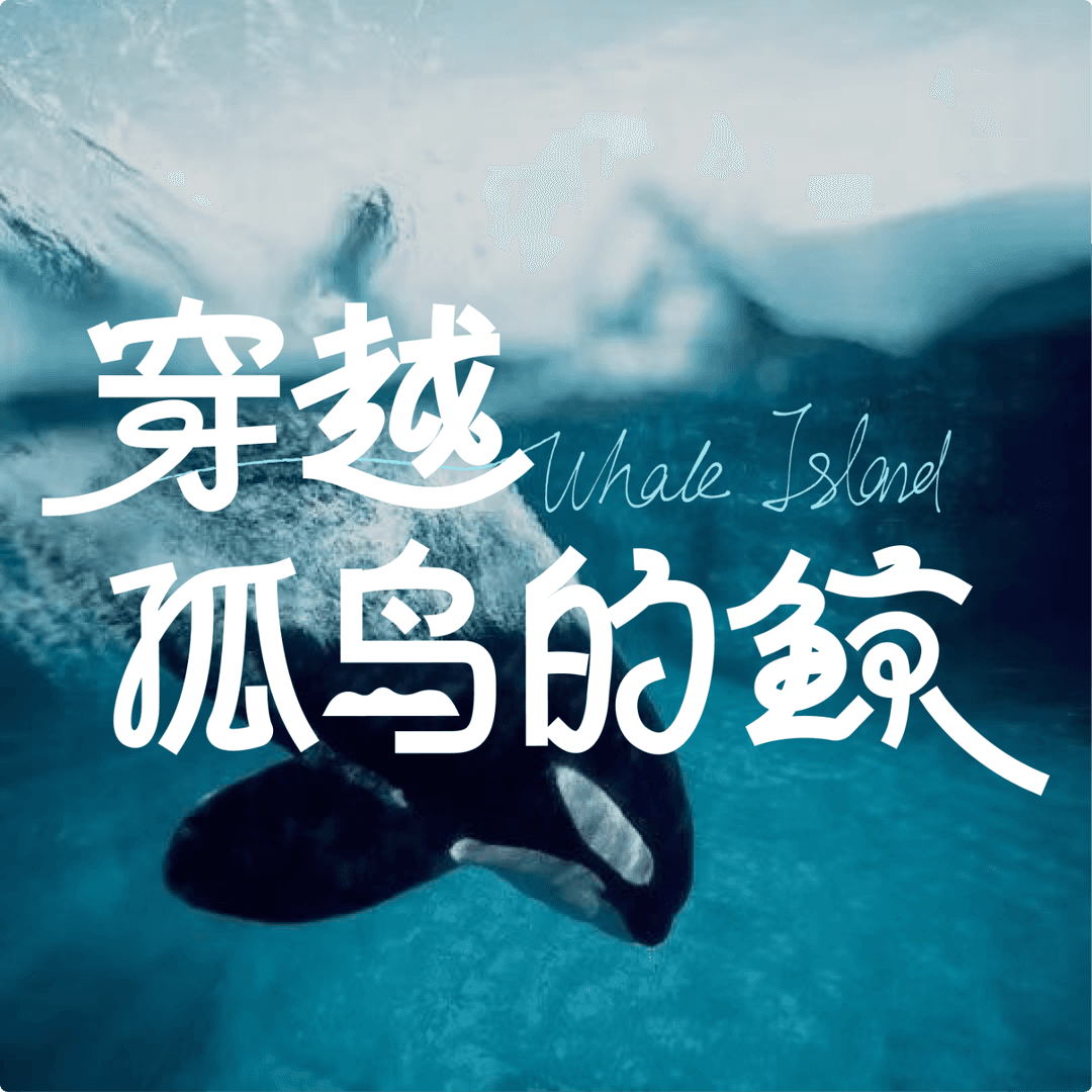 穿越孤岛的鲸