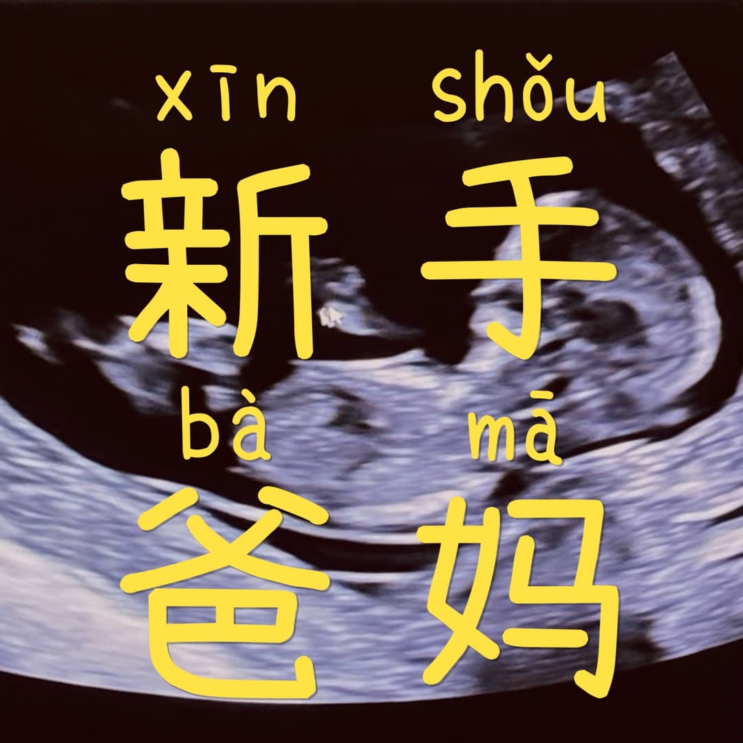 新手爸妈
