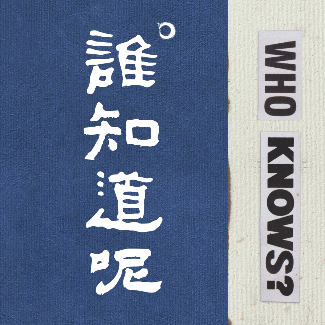 谁知道呢|WhoKnows