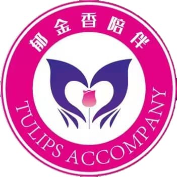 郁金香陪伴•「终极浪漫」