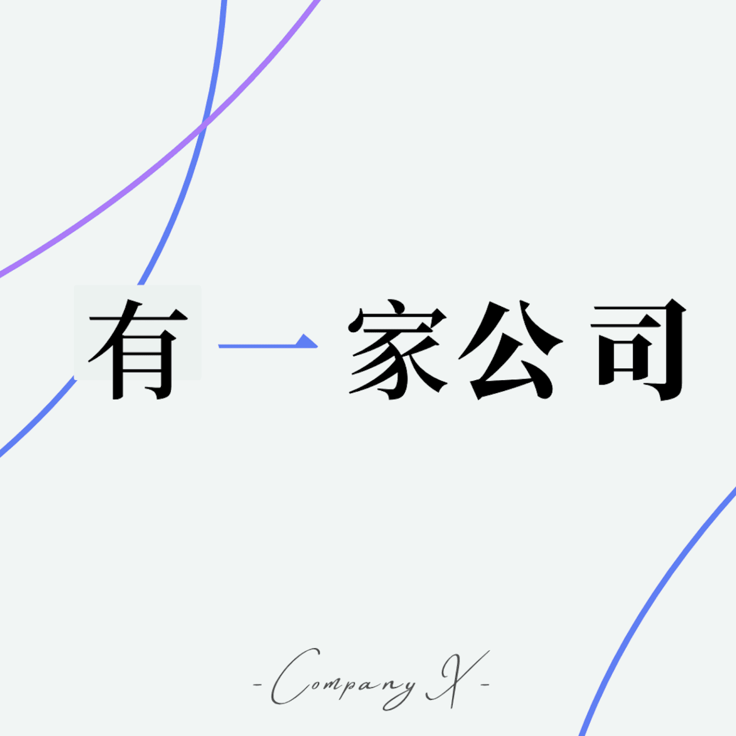 有一家公司