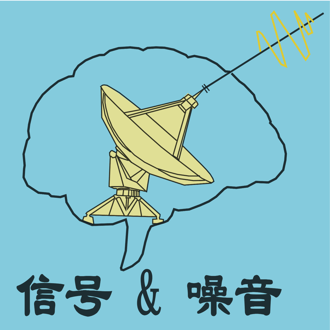 信号与噪音