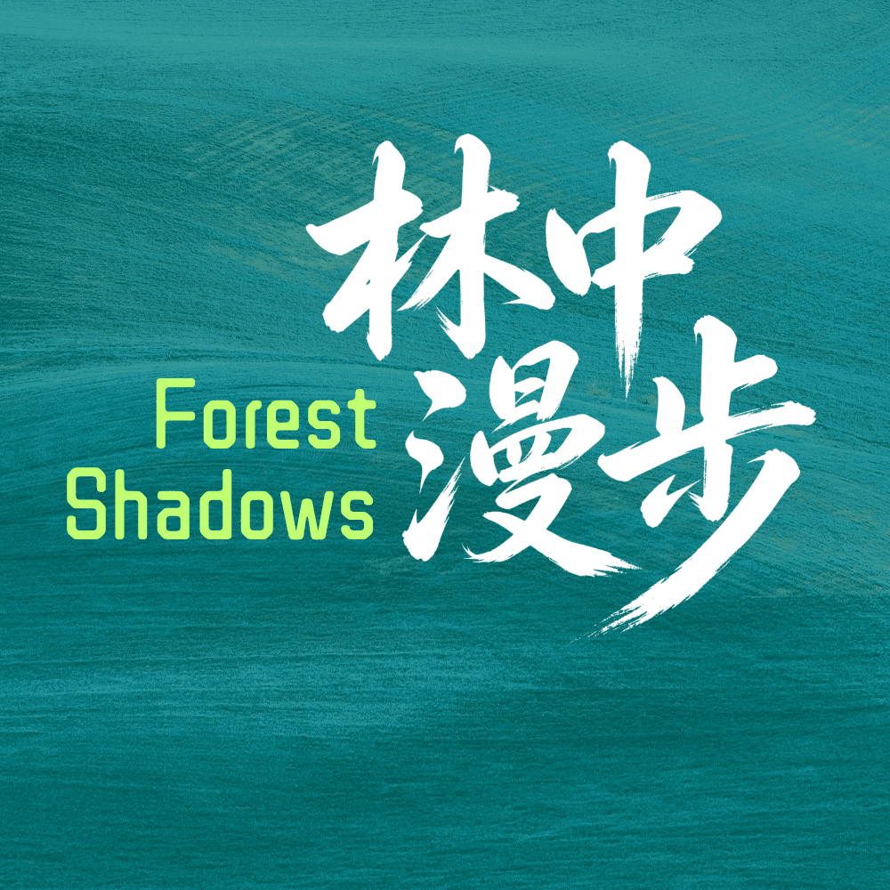 林中漫步 Forest Shadows